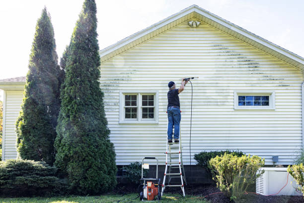 Best Graffiti Removal  in Baldwin, LA